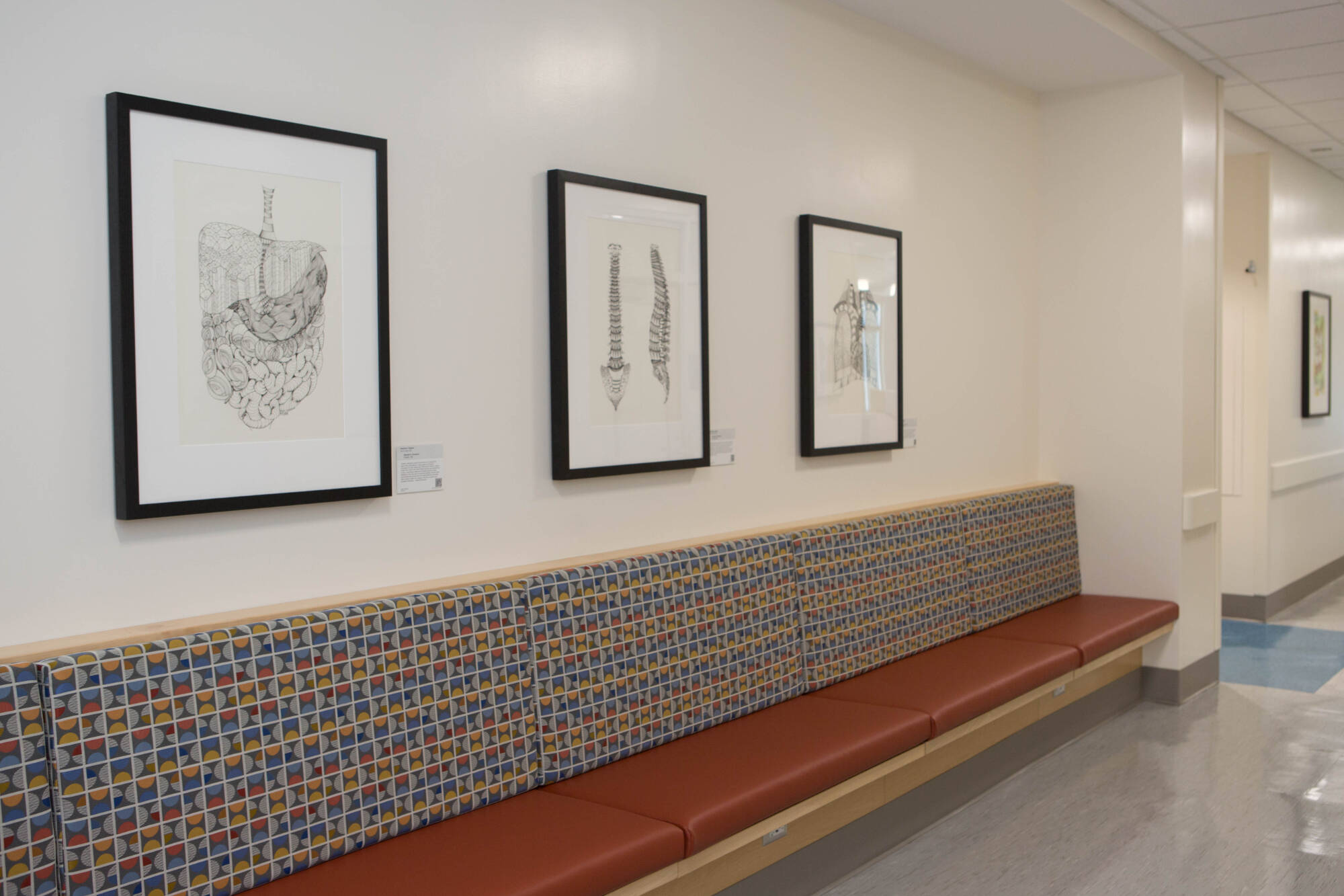 Photograph of a hallway in Finkelstein Hall that shows artwork on display above benches.